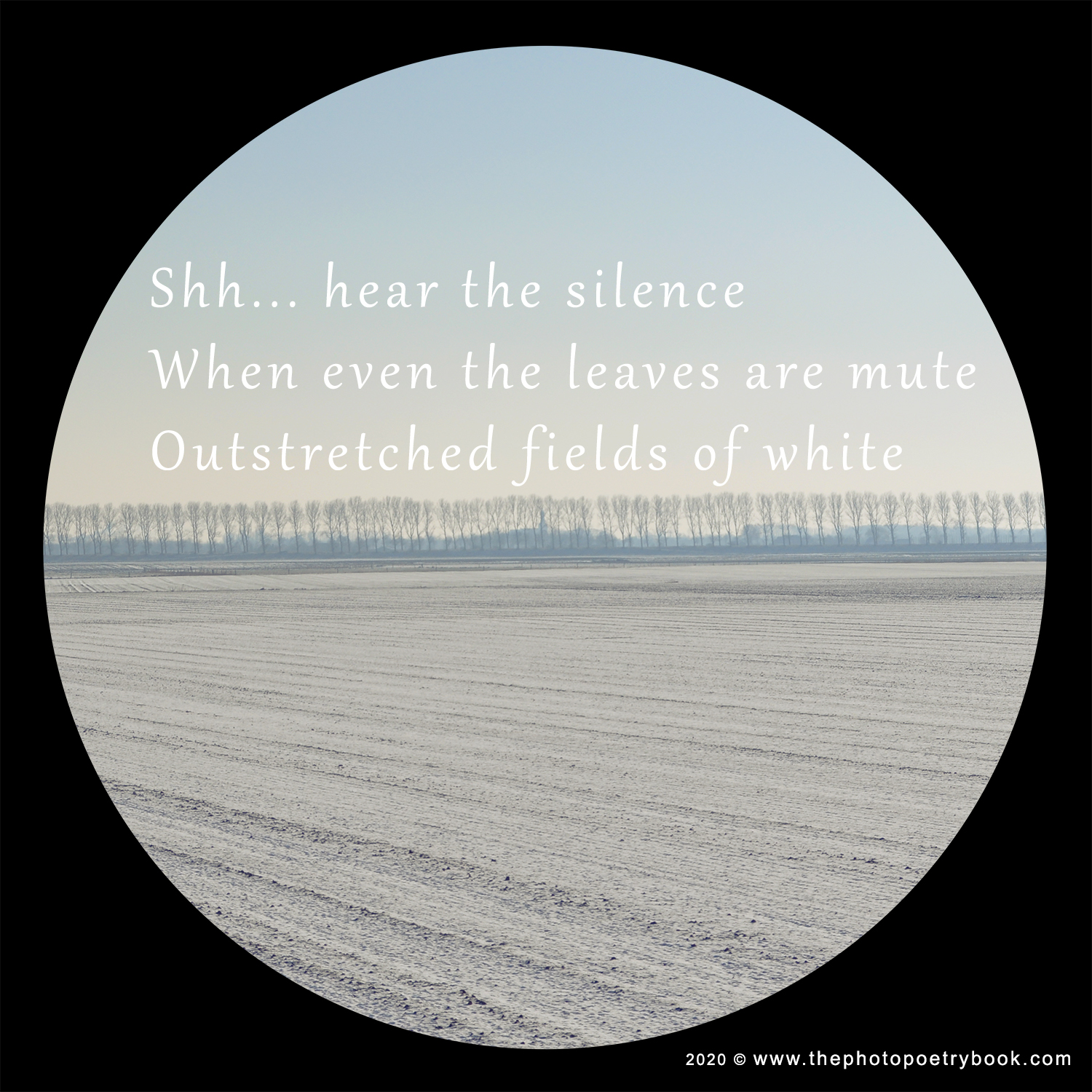 Silence ~ Seasons ~ A Photohaiku