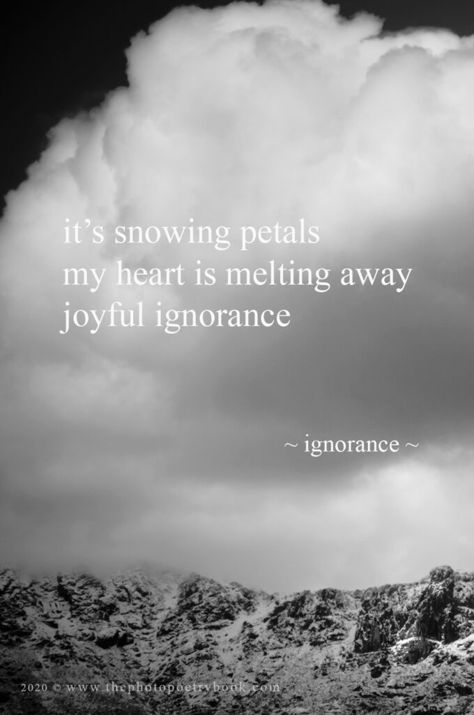 Ignorance ~ A Photohaiku