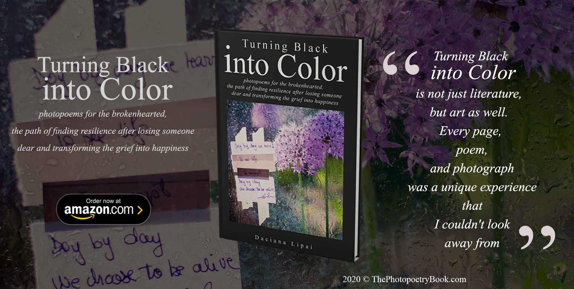 Turning Black into Color Book Launch Live on Amazon