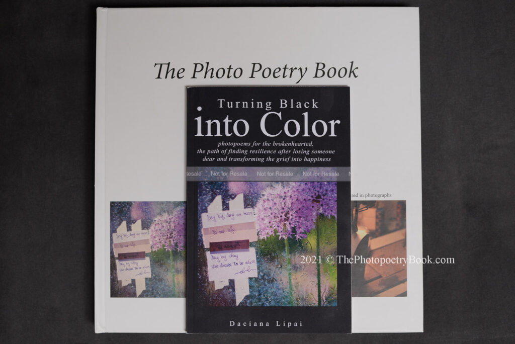 Daciana Lipai Turning Black into Color Book art book vs trade book