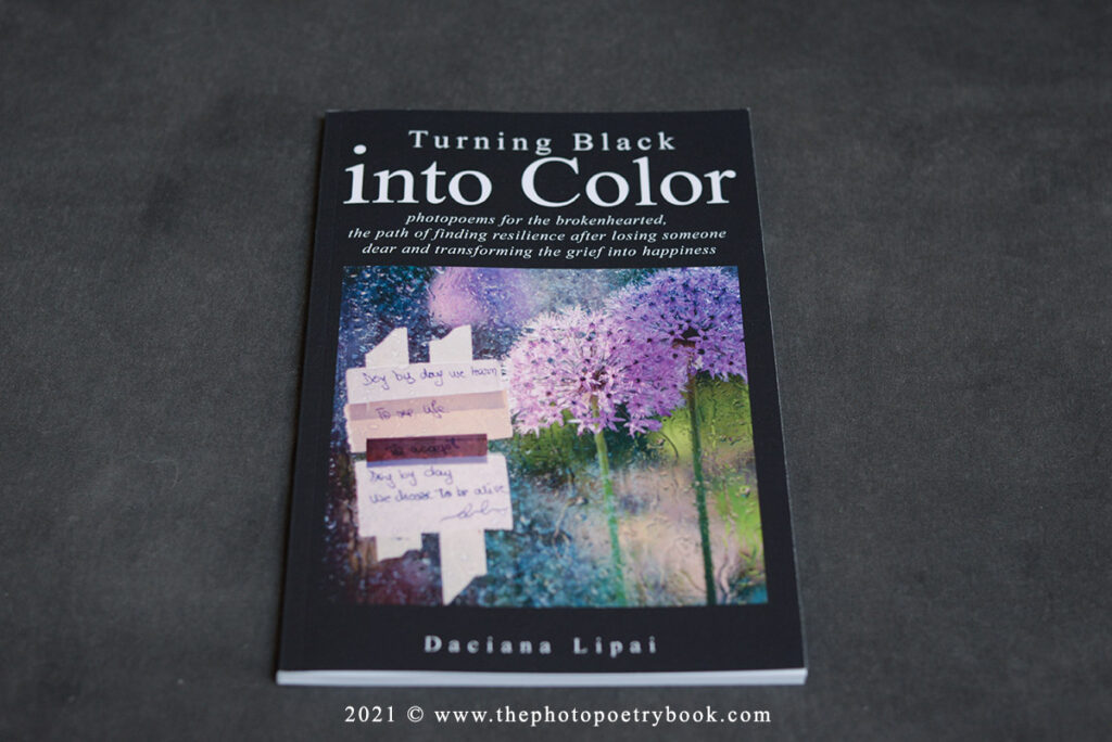 Daciana Lipai Turning Black into Color Book