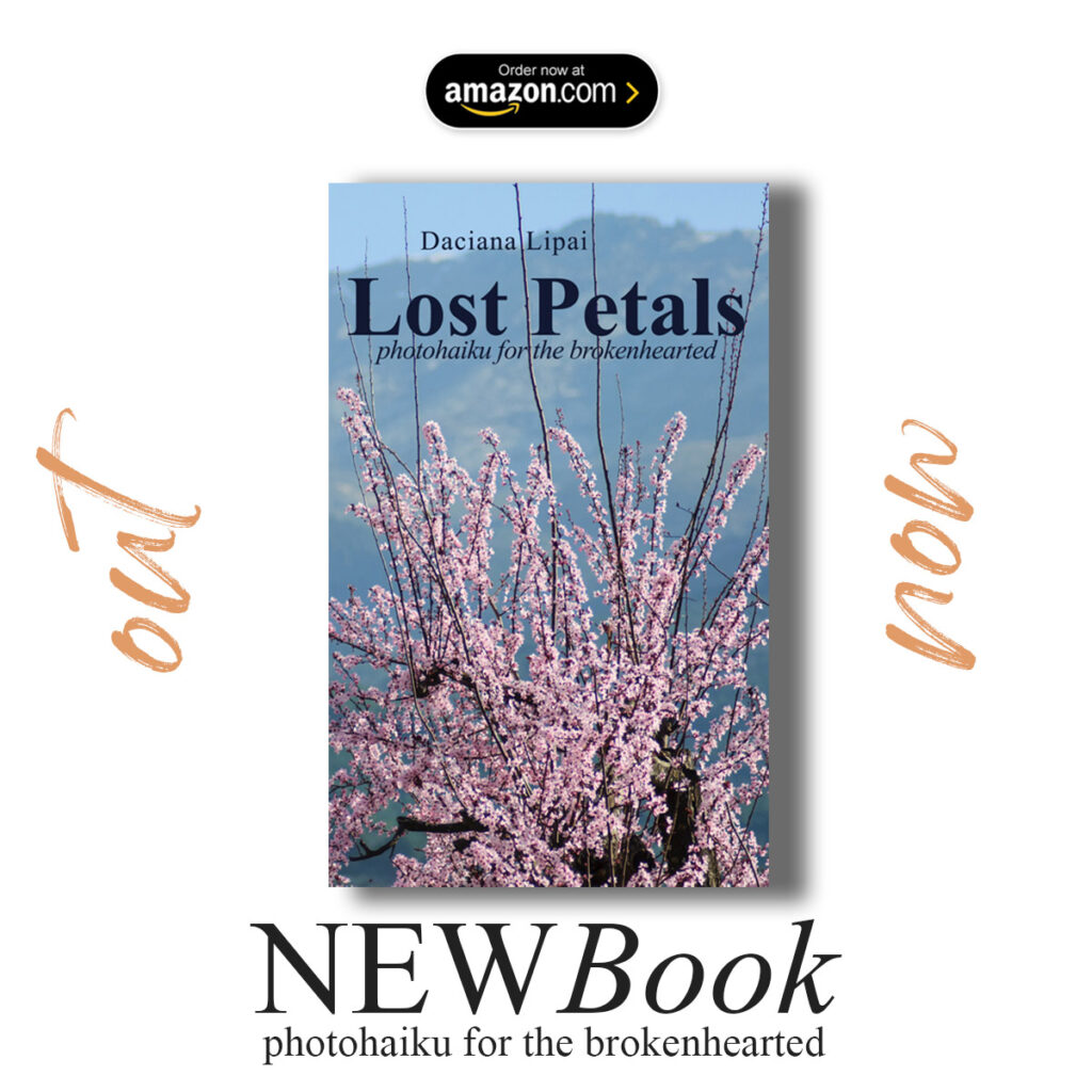 Lost Petals - phototohaiku for the brokenhearted - new book