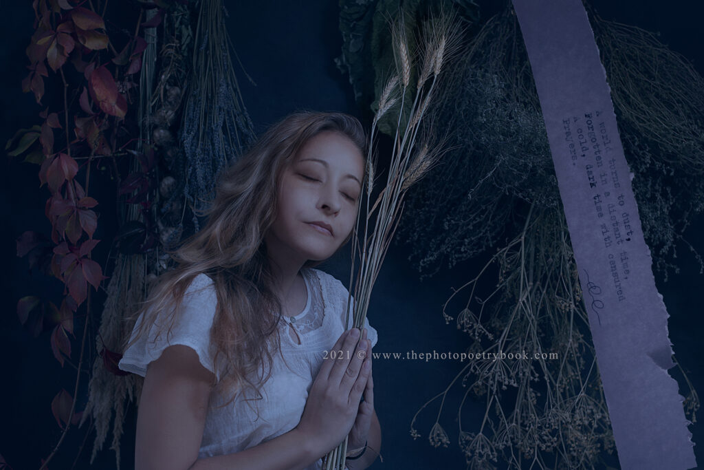 Daciana Lipai- Prayer - Dream Away Photopoem