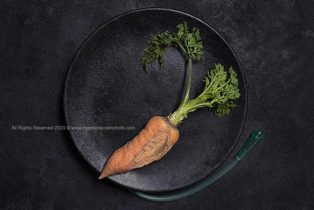 To Sit with a Carrot in the Ass - Romanian Sayings Served Up on a Plate