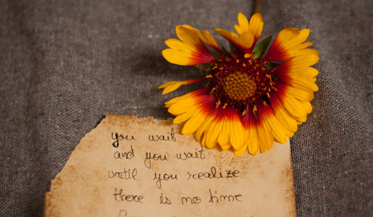 The Photo Poetry Book ~ a year of 366 days of PhotoPoetry ~ Day 221 - No Time