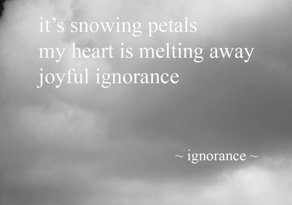 Ignorance ~ A Photohaiku