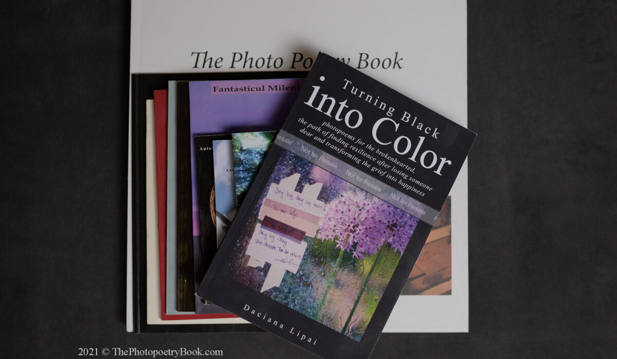 Daciana Lipai Turning Black into Color Book published books