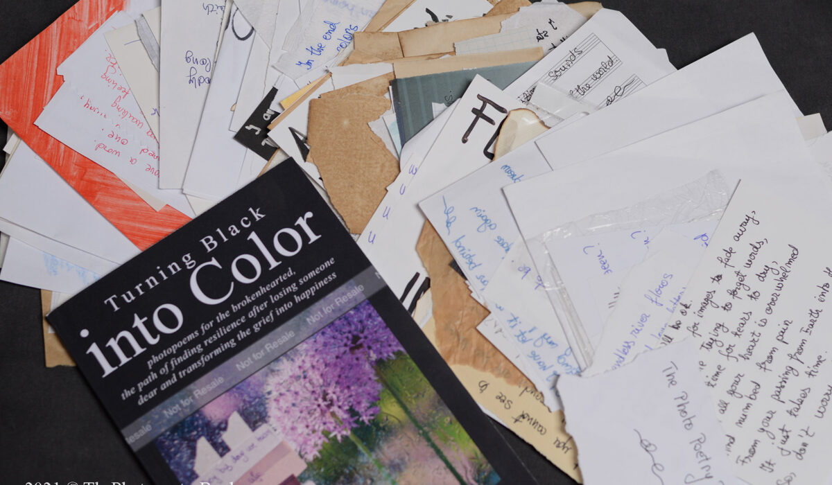 Daciana Lipai Turning Black into Color Book 366 handwritten poems