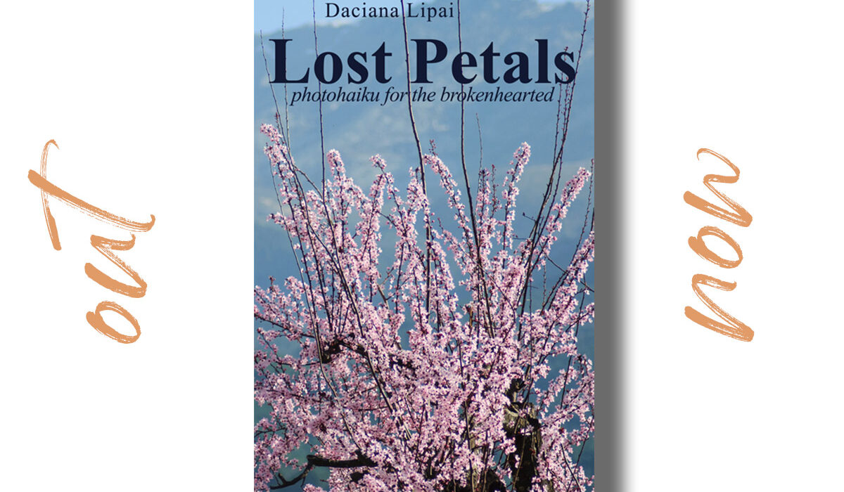 Lost Petals - phototohaiku for the brokenhearted - new book