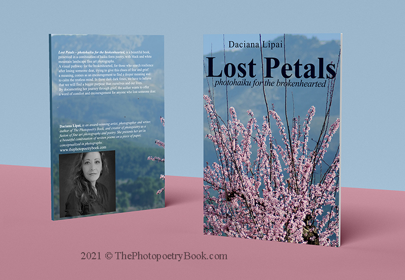 Lost Petals - phototohaiku for the brokenhearted - Book Cover