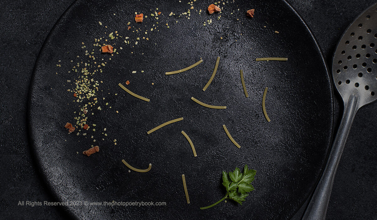 Fake Soup - Romanian Sayings Served Up on a Plate