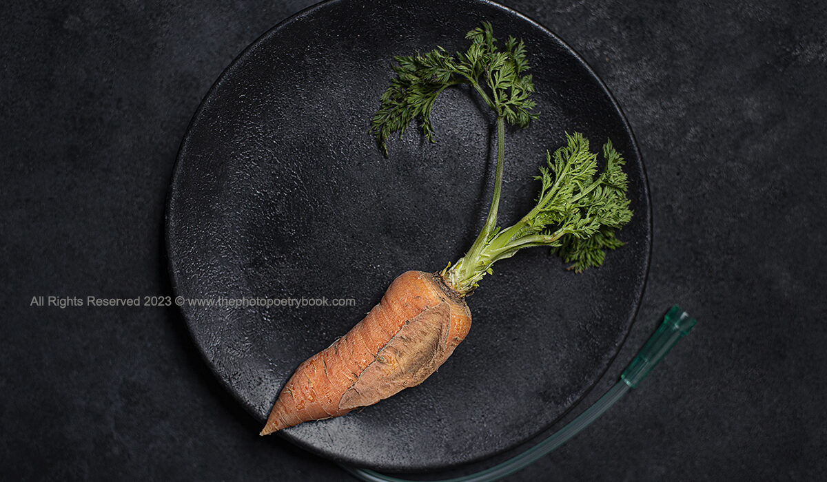 To Sit with a Carrot in the Ass - Romanian Sayings Served Up on a Plate